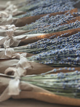 Load image into Gallery viewer, Dried English Lavender Bouquet with Free Sachet