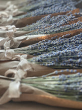 Load image into Gallery viewer, Dried English Lavender Bouquet with Free Sachet
